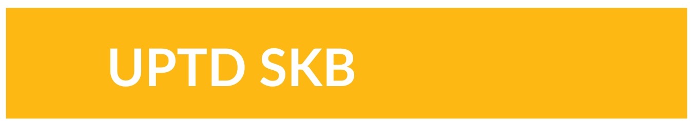 skb